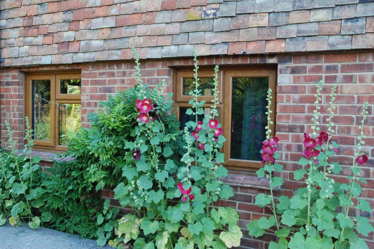 Hollyhock Cottage Ashford  Luaran gambar